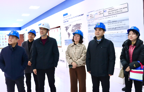 陽(yáng)光電源股份、宜賓智能制造行業(yè)協(xié)會(huì)、宜賓安徽商會(huì)調(diào)研遠(yuǎn)東電纜（宜賓）